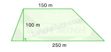 Toán lớp 5 Bài 73. Luyện tập - SGK Bình Minh 2