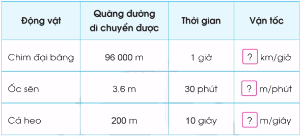 Toán lớp 5 Bài 73. Luyện tập - SGK cánh diều 1