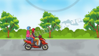 Toán lớp 5 Bài 73. Luyện tập - SGK cánh diều 3