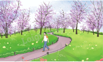 Toán lớp 5 Bài 74. Quãng đường, thời gian trong chuyển động đều - SGK cánh diều 2 1