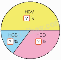 Toán lớp 5 Bài 75. Ôn tập chung - SGK Kết nối tri thức với cuộc sống 13