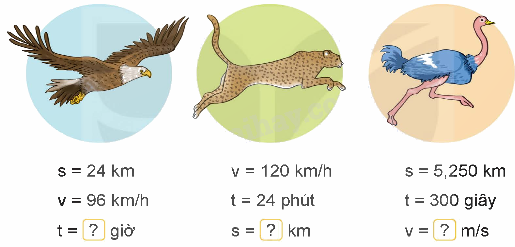 Toán lớp 5 Bài 75. Ôn tập chung - SGK Kết nối tri thức với cuộc sống 14 1