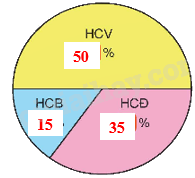 Toán lớp 5 Bài 75. Ôn tập chung - SGK Kết nối tri thức với cuộc sống 15 4