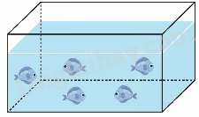 Toán lớp 5 Bài 75. Ôn tập chung - SGK Kết nối tri thức với cuộc sống 16 1