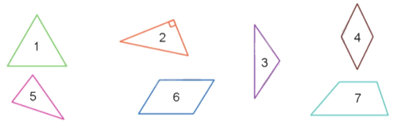 Toán lớp 5 Bài 77. Em ôn lại những gì đã học - SGK cánh diều 2