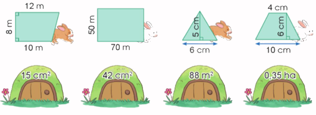 Toán lớp 5 Bài 77. Em ôn lại những gì đã học - SGK cánh diều 2 1
