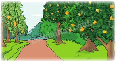 Toán lớp 5 Bài 8. Tìm hai số khi biết hiệu và tỉ số của hai số đó - SGK cánh diều 4