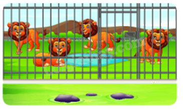 Toán lớp 5 Bài 84. Ôn tập về số thập phân - SGK Bình Minh 3