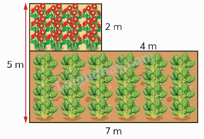 Toán lớp 5 Bài 9. Bài toán giải bằng bốn bước tính - SGK chân trời sáng tạo 3 1