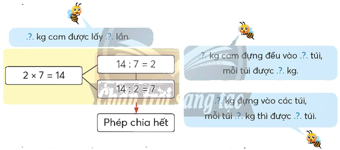 Toán lớp 5 Bài 92. Ôn tập phép nhân, phép chia - SGK chân trời sáng tạo 2