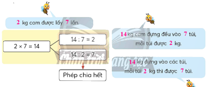 Toán lớp 5 Bài 92. Ôn tập phép nhân, phép chia - SGK chân trời sáng tạo 3