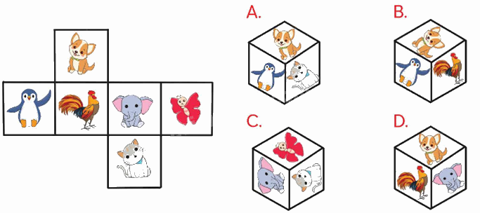 Toán lớp 5 Bài 94. Ôn tập hình phẳng và hình khối - SGK chân trời sáng tạo 10 1