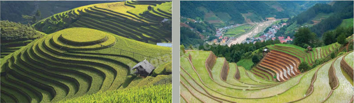 Toán lớp 5 Bài 94. Ôn tập hình phẳng và hình khối - SGK chân trời sáng tạo 9