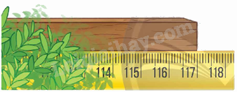 Toán lớp 5 Bài 95. Ôn tập độ dài, khối lượng, dung tích, nhiệt độ, tiền Việt Nam - SGK chân trời sáng tạo 2