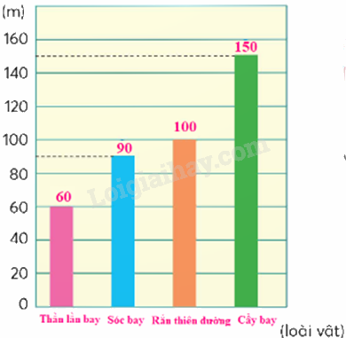 Toán lớp 5 Bài 95. Ôn tập độ dài, khối lượng, dung tích, nhiệt độ, tiền Việt Nam - SGK chân trời sáng tạo 11