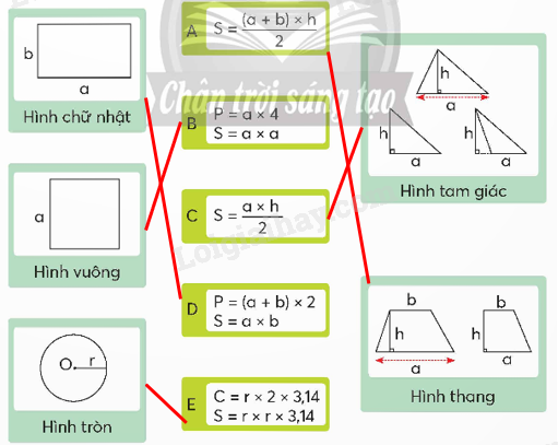 Toán lớp 5 Bài 96. Ôn tập chu vi, diện tích, thể tích - SGK chân trời sáng tạo 1 2
