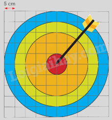 Toán lớp 5 Bài 97. Ôn tập chu vi, diện tích, thể tích (tiếp theo) - SGK chân trời sáng tạo 4 1