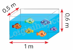 Toán lớp 5 Bài 97. Ôn tập chu vi, diện tích, thể tích (tiếp theo) - SGK chân trời sáng tạo 6