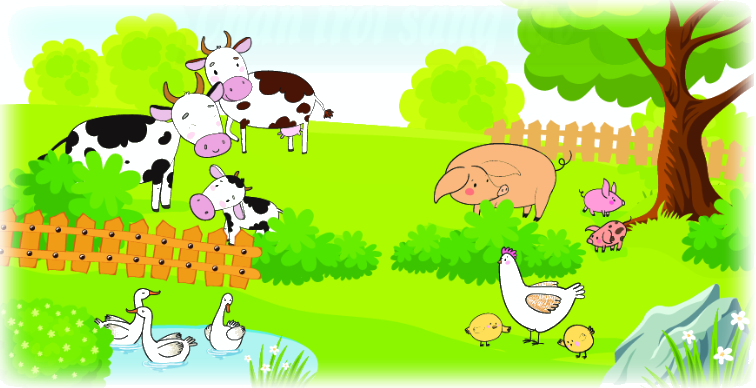 Tổng các số hạng bằng nhau 6