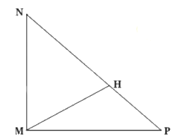 Tổng hợp 20 đề kiểm tra giữa học kì 1 Toán 4 Cánh diều có đáp án 5