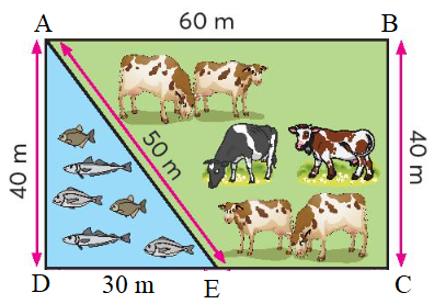 Tổng hợp 20 đề thi học kì 1 Toán 3 Cánh diều có đáp án 0 30