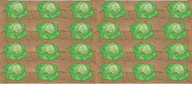 Tổng hợp 20 đề thi học kì 1 Toán 3 Cánh diều có đáp án 0 10