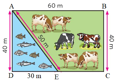 Tổng hợp 20 đề thi học kì 1 Toán 3 Cánh diều có đáp án 8 2