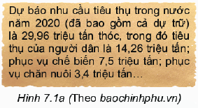 Trả lời Câu hỏi trang 29 SGK Toán 6 Kết nối tri thức với cuộc sống 1