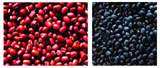 Trả lời Hoạt động 1 trang 71 SGK Toán 6 Chân trời sáng tạo 0 1