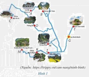 Trả lời Hoạt động 1 trang 75 SGK Toán 6 Cánh diều 1