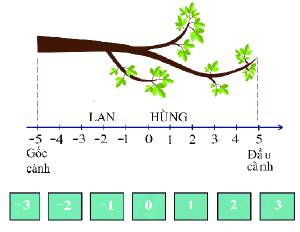 Trả lời Hoạt động 2 trang 72 SGK Toán 6 Chân trời sáng tạo 0 2