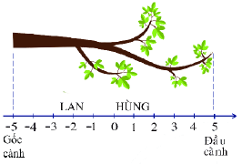 Trả lời Hoạt động 2 trang 72 SGK Toán 6 Chân trời sáng tạo 0 3