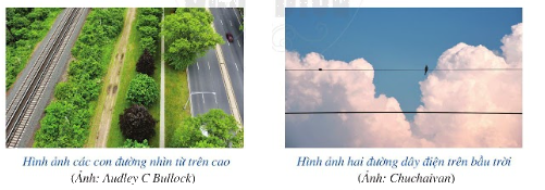 Trả lời Hoạt động 2 trang 81 SGK Toán 6 Cánh diều tập 2 1