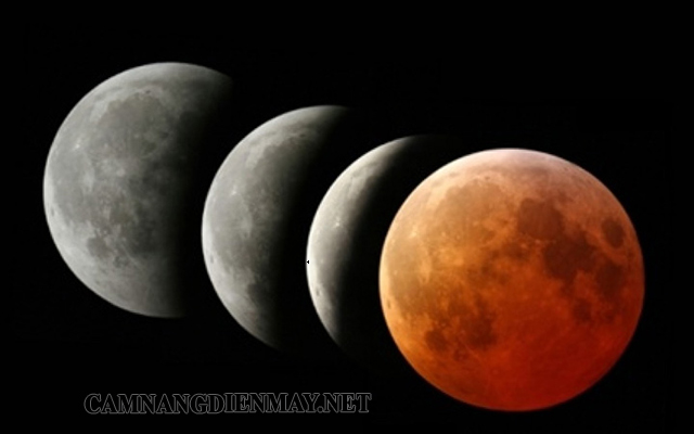 Trả lời Hoạt động 3 trang 105 SGK Toán 6 Cánh diều tập 2 3