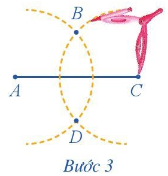 Trả lời Hoạt động 4 trang 100 SGK Toán 6 Cánh diều 3