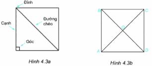 Trả lời Hoạt động 4 trang 79 SGK Toán 6 Kết nối tri thức với cuộc sống 1