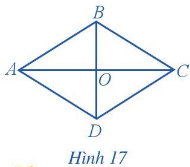 Trả lời Hoạt động 5 trang 100 SGK Toán 6 Cánh diều 1