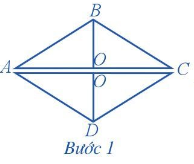 Trả lời Hoạt động 5 trang 100 SGK Toán 6 Cánh diều 2