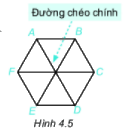 Trả lời Hoạt động 6 trang 80 SGK Toán 6 Kết nối tri thức với cuộc sống 1