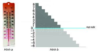 Trả lời Hoạt động khám phá 1 trang 49 SGK Toán 6 Chân trời sáng tạo 1