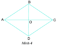 Trả lời Hoạt động khám phá 2 trang 81 SGK Toán 6 Chân trời sáng tạo 1