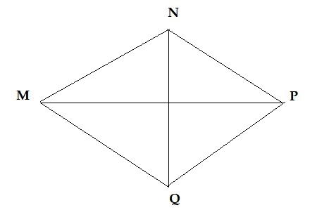 Trả lời Luyện tập vận dụng 2 trang 100 SGK Toán 6 Cánh diều 2
