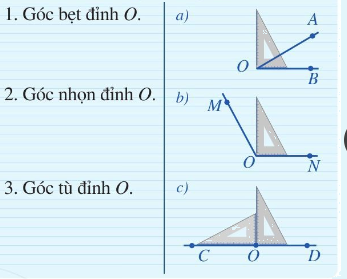 Trả lời Luyện tập vận dụng 5 trang 100 SGK Toán 6 Cánh diều tập 2 1