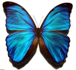 Trả lời thực hành 1 trang 59 SGK Toán 6 Chân trời sáng tạo Tập 2 3