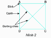Trả lời Thực hành 1 trang 75 SGK Toán 6 Chân trời sáng tạo 1