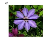 Trả lời thực hành 2 trang 57 SGK Toán 6 Chân trời sáng tạo Tập 2 3