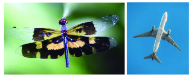 Trả lời thực hành 2 trang 59 SGK Toán 6 Chân trời sáng tạo Tập 2 1