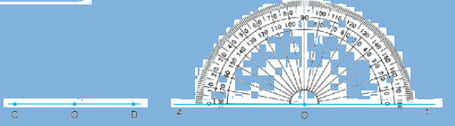 Trả lời thực hành 4 trang 87 SGK Toán 6 Chân trời sáng tạo Tập 2 1