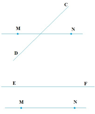 Trả lời thực hành trang 77 SGK Toán 6 Chân trời sáng tạo Tập 2 3