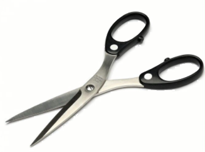 Trả lời Vận dụng 1 trang 59 SGK Toán 6 Kết nối tri thức với cuộc sống tập 2 3